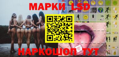 гидра Новозыбков