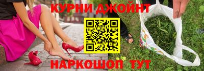 гидра Новозыбков