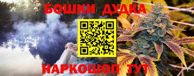 гидра Новозыбков