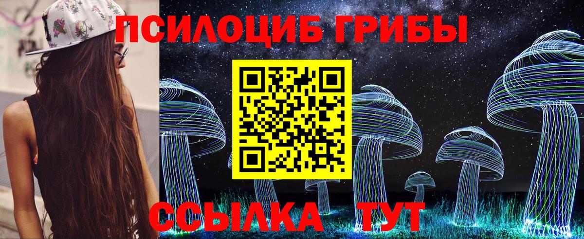 Псилоцибиновые грибы GOLDEN TEACHER Сухой Лог